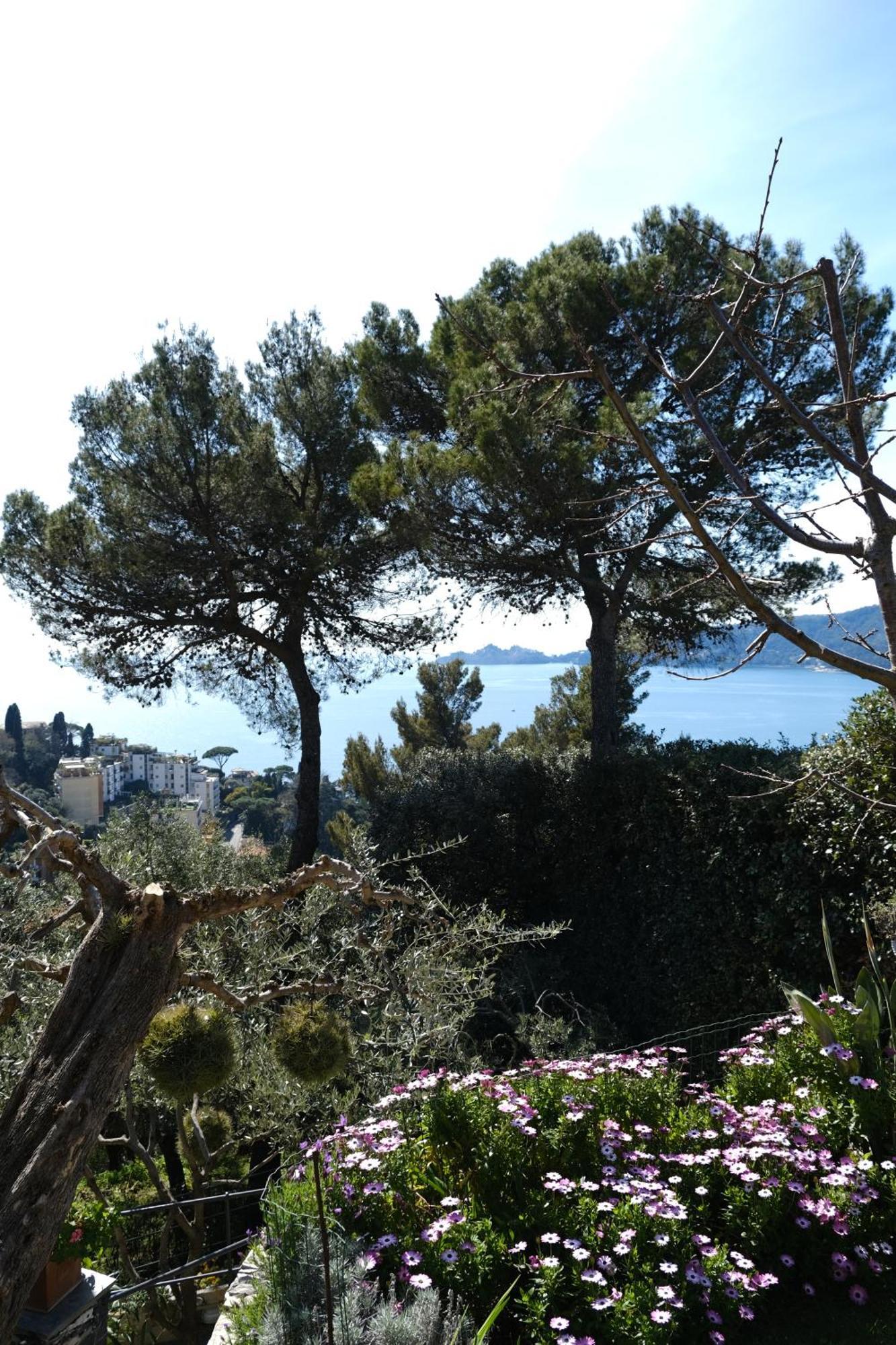 L'Alcova Tra Gli Ulivi By Portofinovacanze ゾアーリ エクステリア 写真