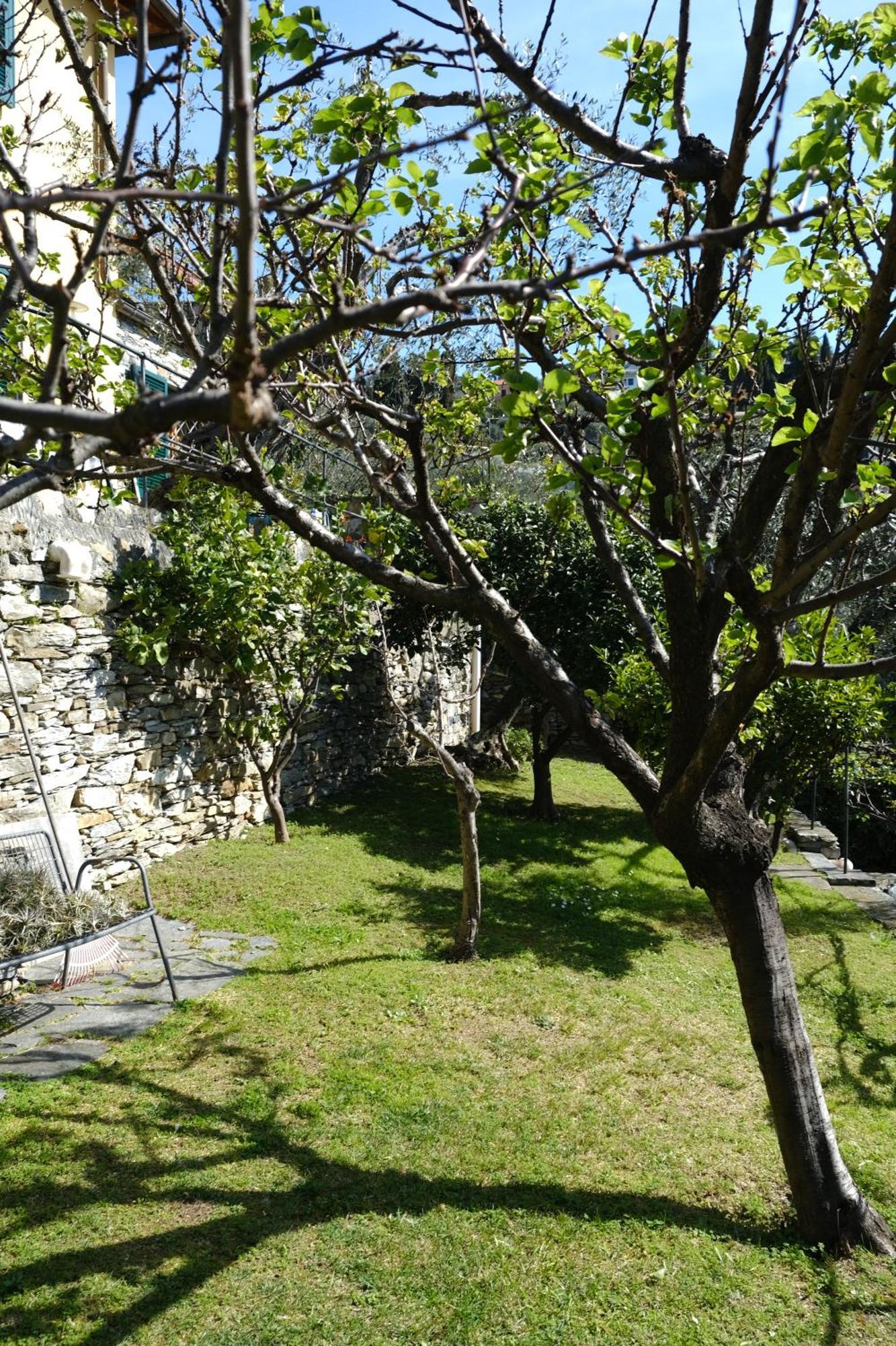 L'Alcova Tra Gli Ulivi By Portofinovacanze ゾアーリ エクステリア 写真