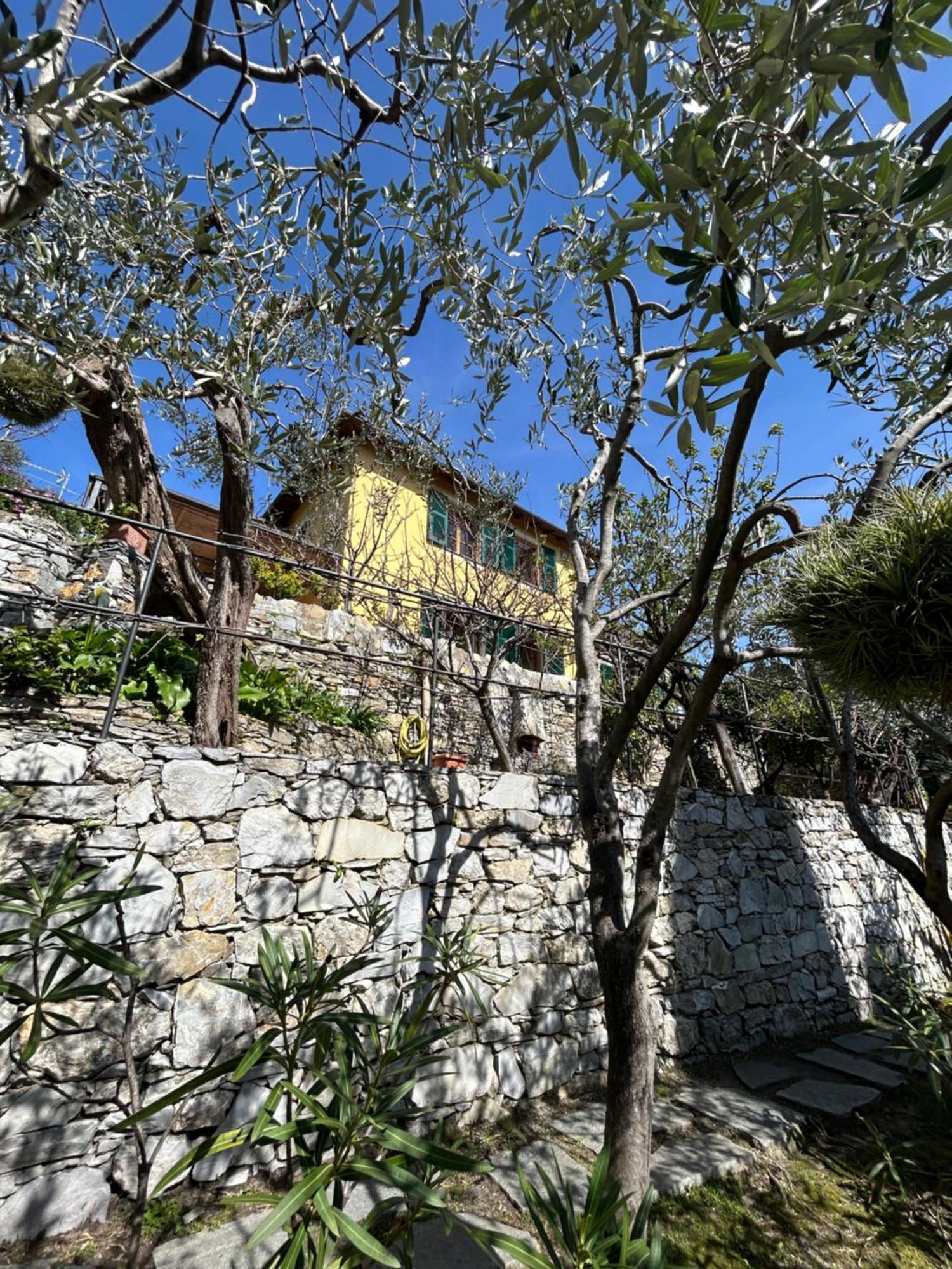 L'Alcova Tra Gli Ulivi By Portofinovacanze ゾアーリ エクステリア 写真